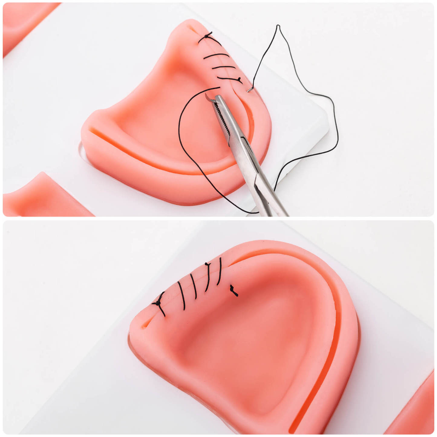 Ultrassist Dental Student Suture Pads for Practicing Gum Cutting & Gingival Suturing