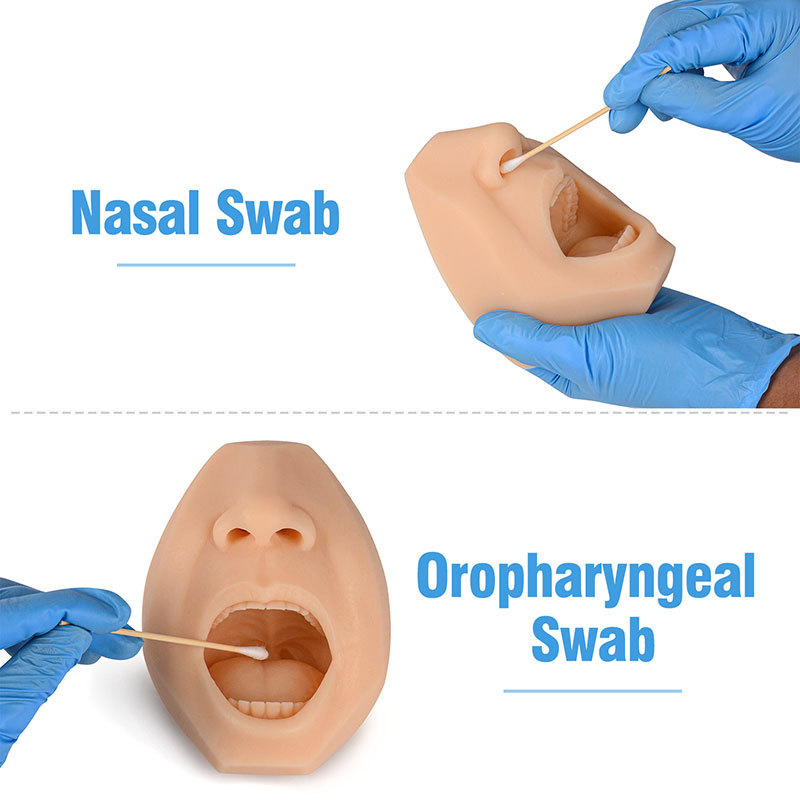 High Simulation Nasal and Oral Swab Collection Training