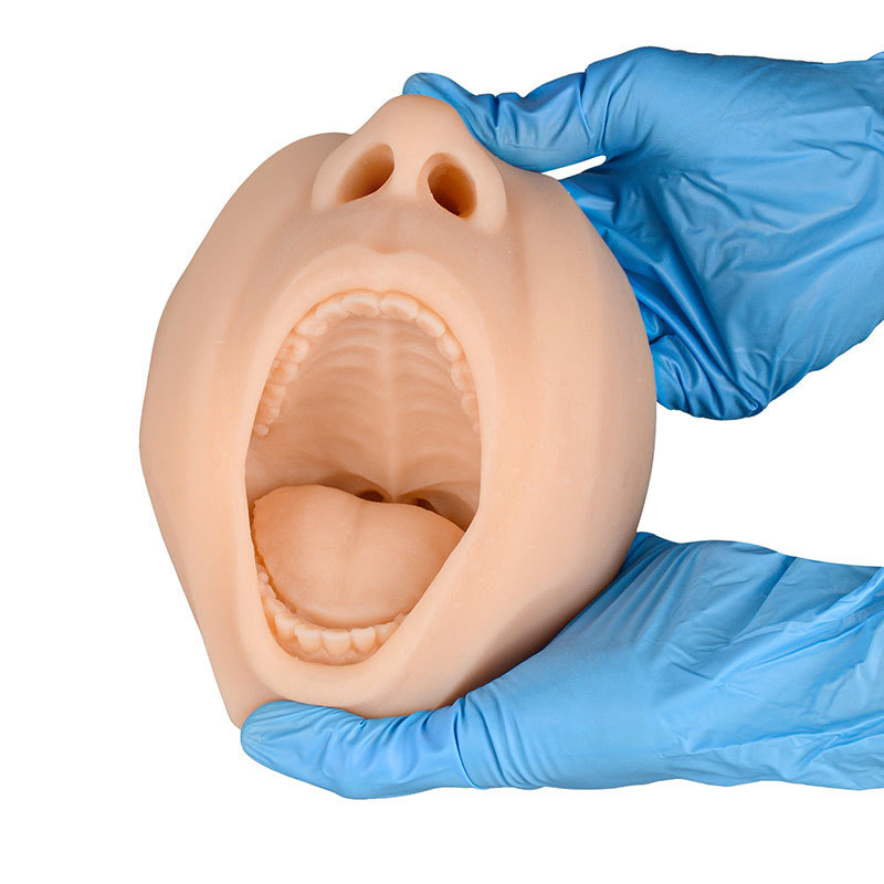 Flexible Swab Test Training Model for Throat & Nasal Swab Collection