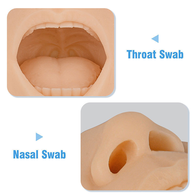 High Simulation of Mouth & Throat Swab & Nasal Swab