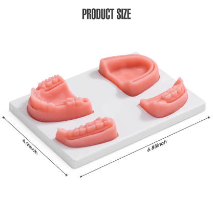 Ultrassist Dental Suture Practice Pads with Base Size