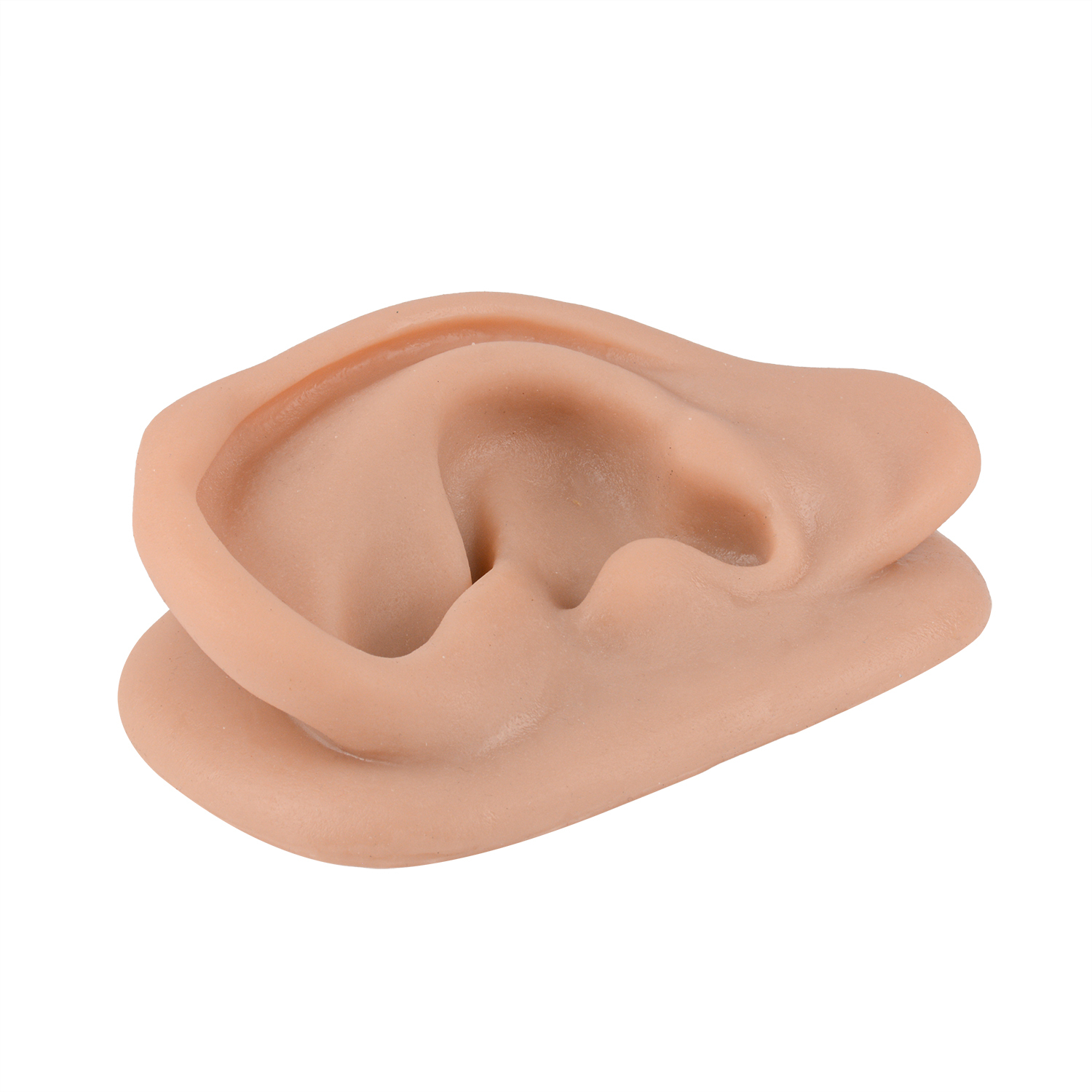 Silicone Acupuncture Ear Model, Enlarged for Auricular Training