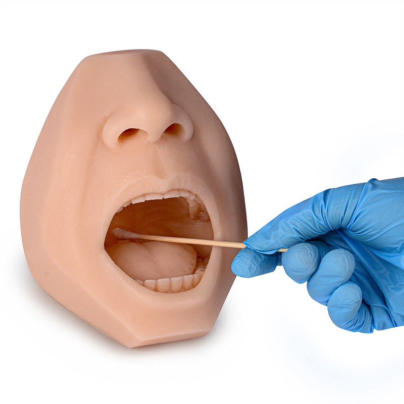 Brown Saliva Oral Swab Test Training Model