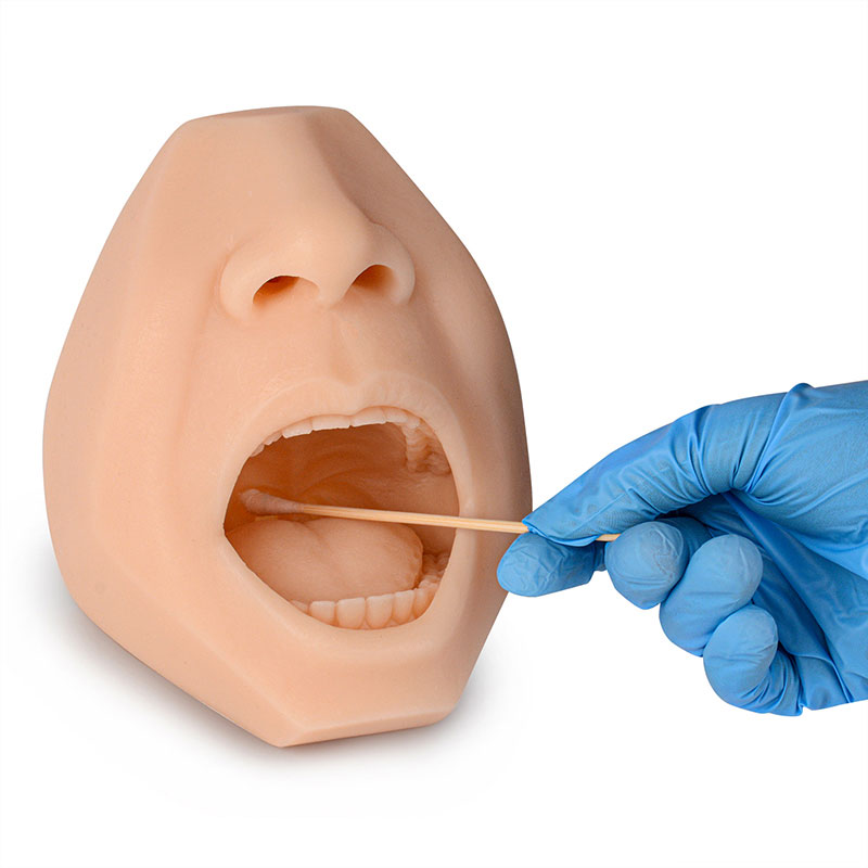 Medical Training Nasal & Throat Swab Collection Simulator