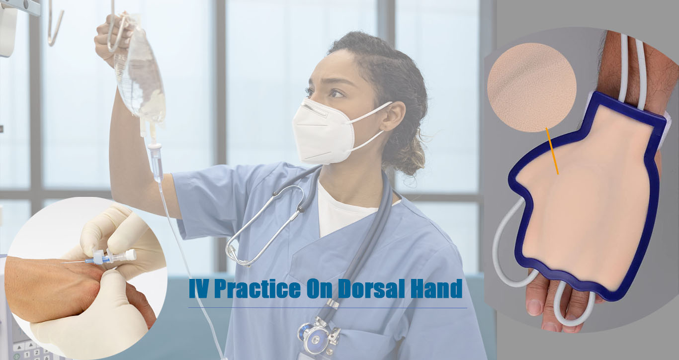 IV Pratique sur simulateur de main dorsale