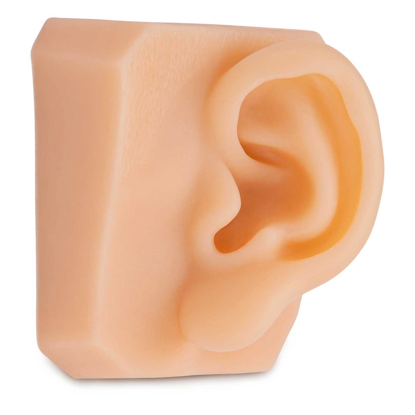 Ultrassist Soft Silicone Ear for Practicing Suture, Education Display