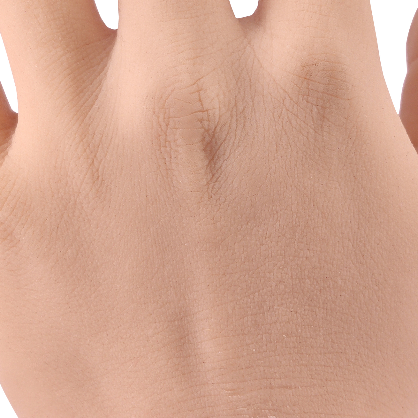 Ultrassist Tattoo Practice Hand with Natural Curves