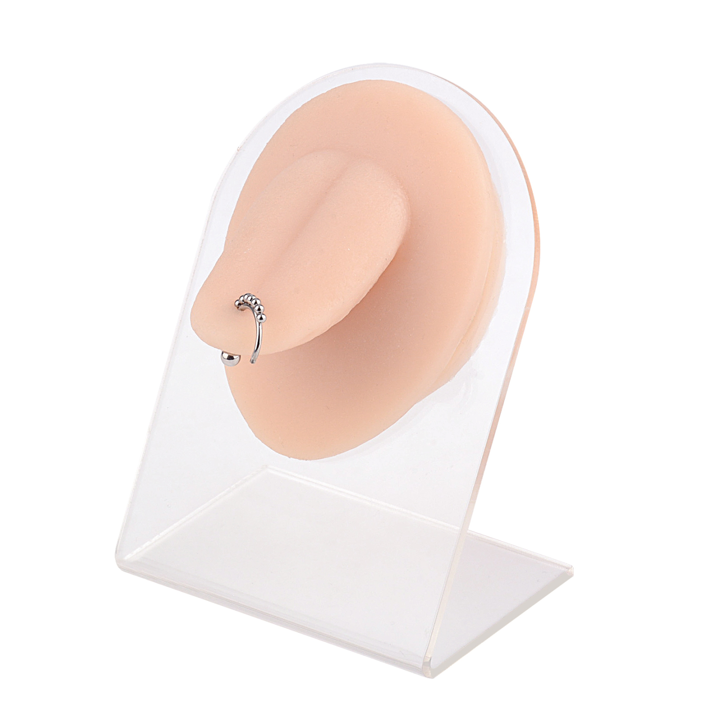 Ultrassist Piercing Tongue Model Jewelry with Display Stand