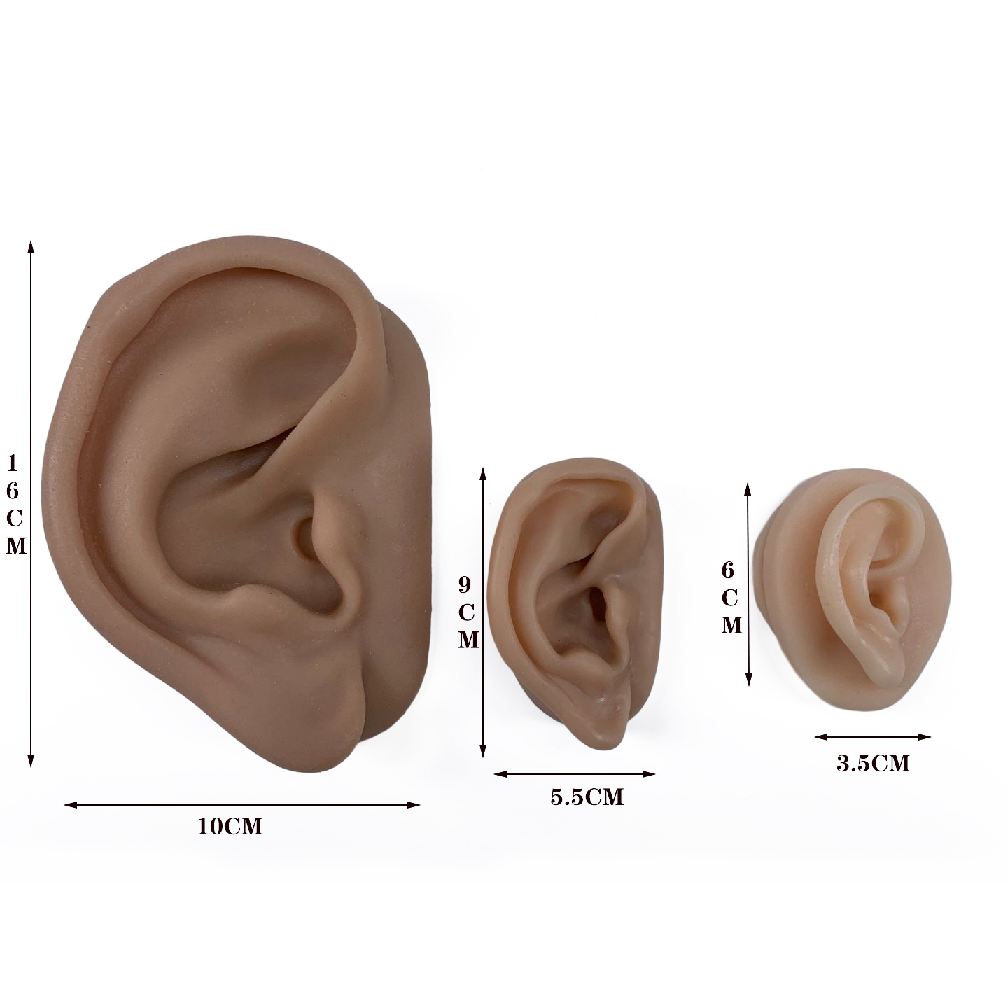 Ultrassist Silicone Acupuncture Ear Model, Auricular Training Enlarge