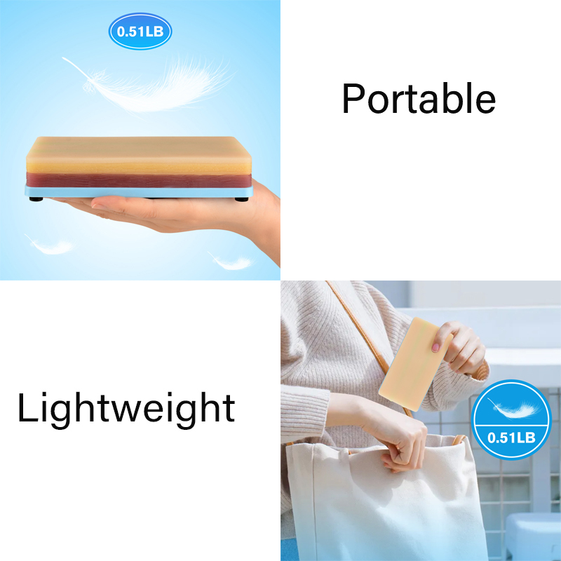 Ultrassist Potable Venipuncture IV Injection Training Model