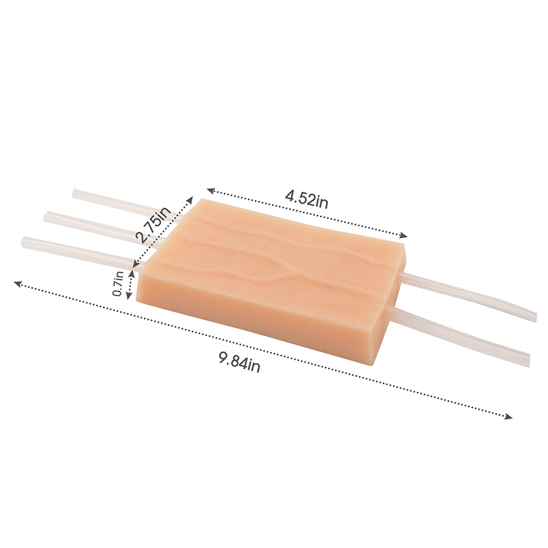 Highly-simulated IV Injection Training Pad Model Size