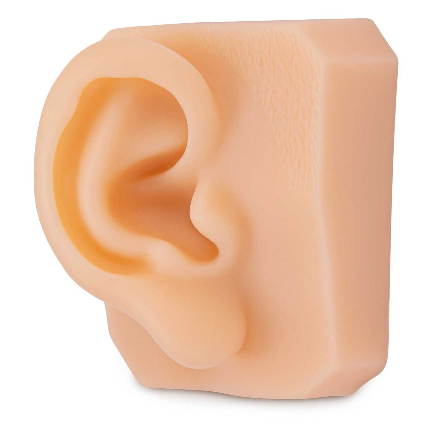 Ultrassist Soft Silicone Ear for Practicing Suture, Education Display