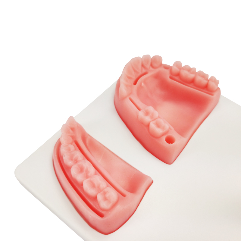 Ultrassist Dental Suture Model New Design