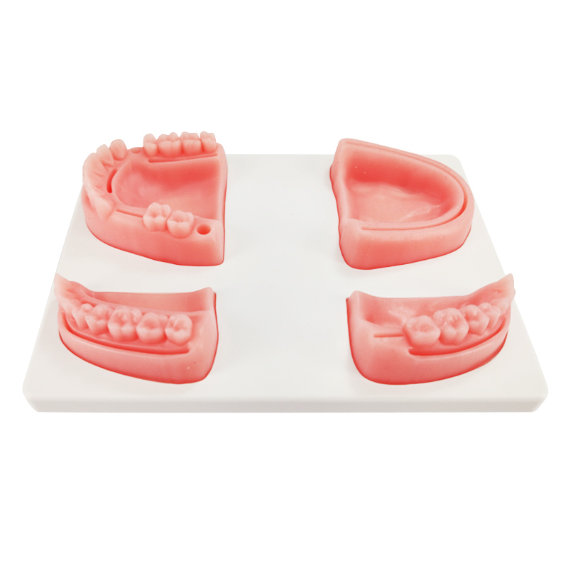 Ultrassist Dental Suture Training/Teaching Model