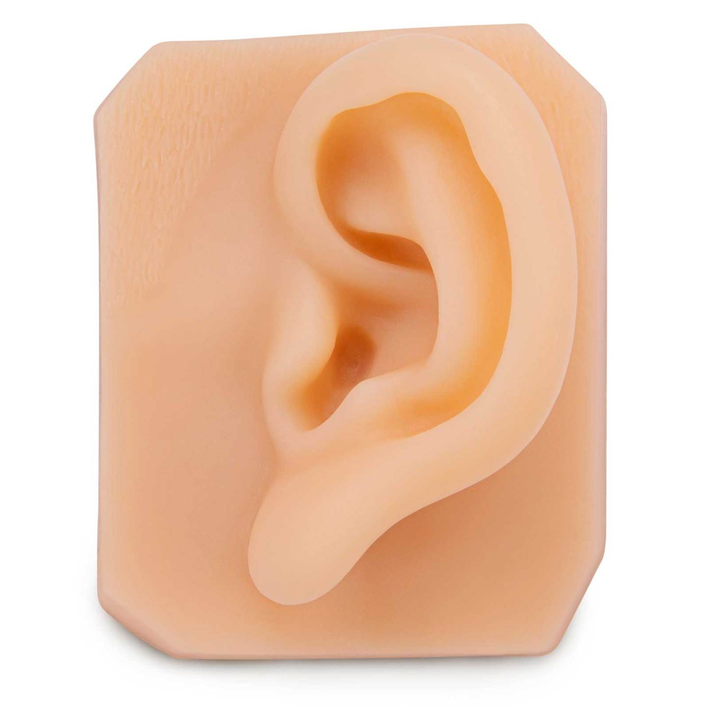 Ultrassist Soft Silicone Ear for Practicing Suture, Education Display