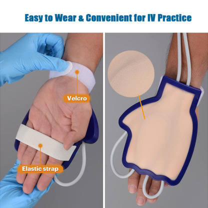Hand IV Insertion Practice Kit for Nursing Students