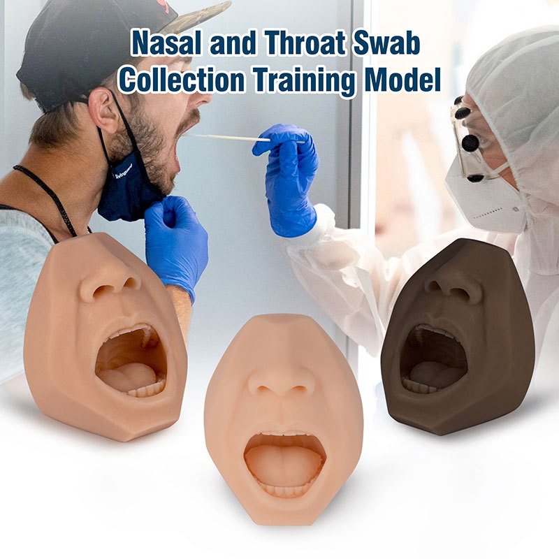 Ultrassist Nasal and Throat Swab Test Training Model