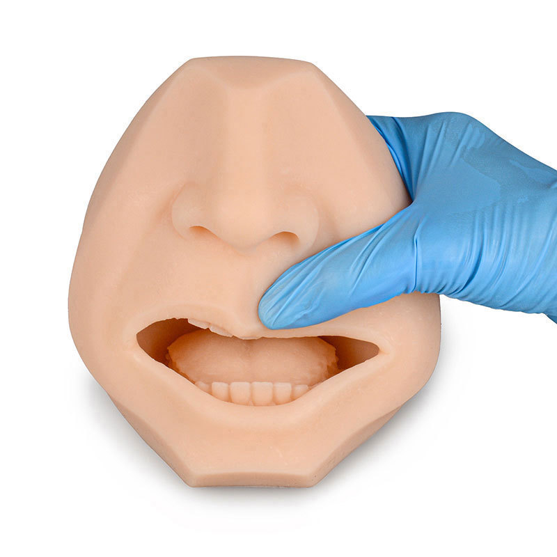 Soft Silicone Swab Test Training Model