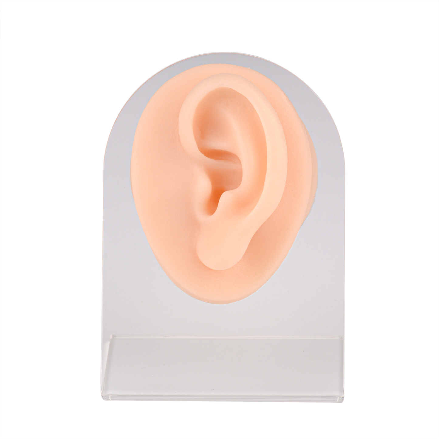 Ultrassist Left Ear Silicone Model for Practice Piercing