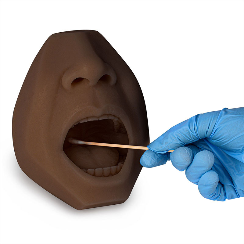 Black Mouth Model for Swab Collection Training