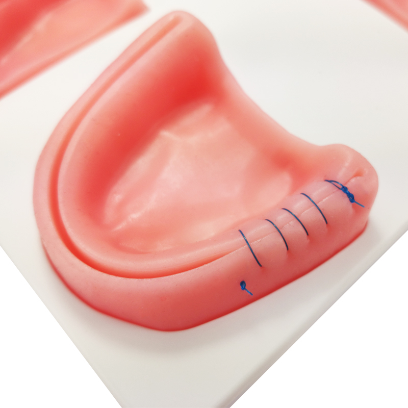 Ultrassist Dentist Suture Training Pad