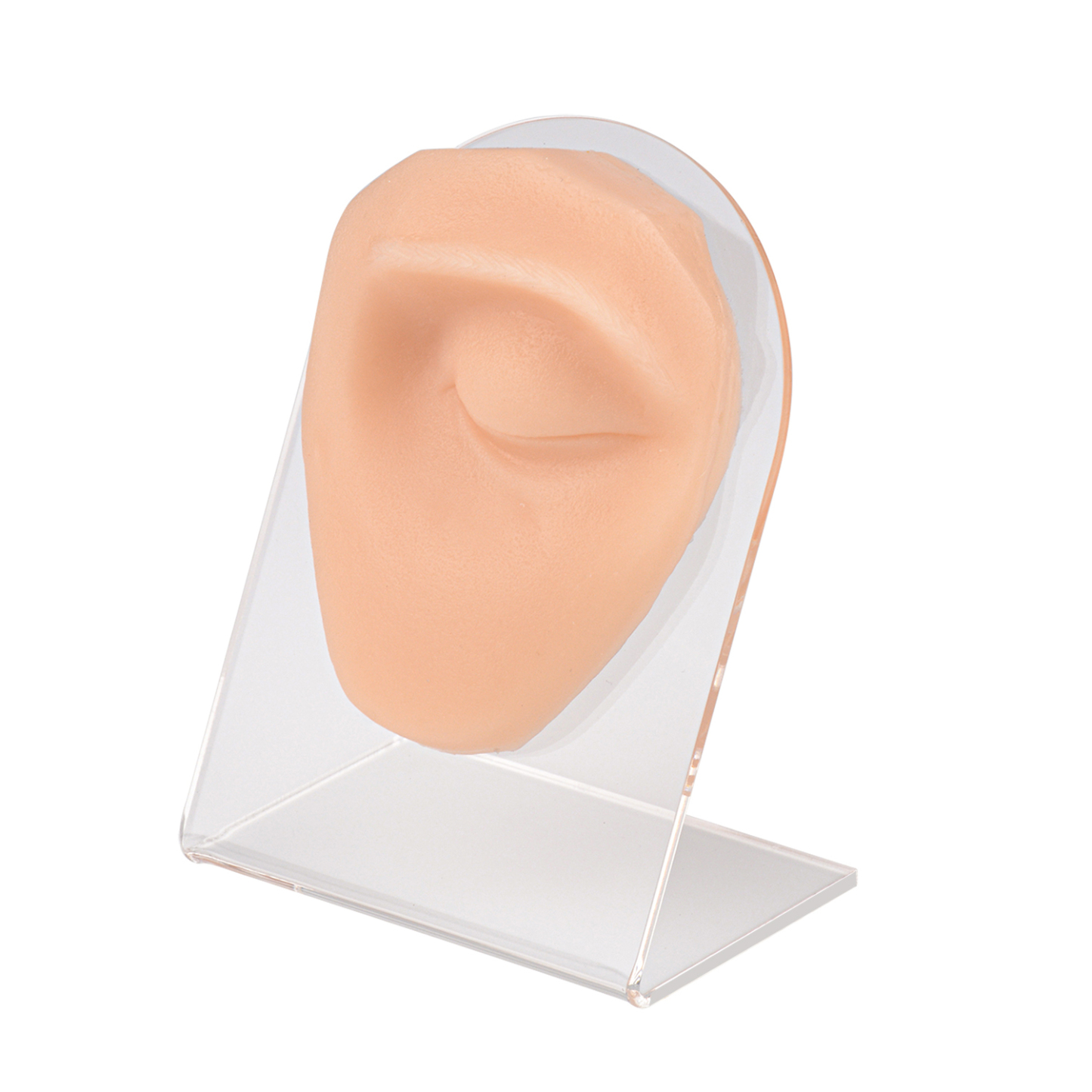 Ultrassist Silicone Left Eye Model for Eyebrow Piercing