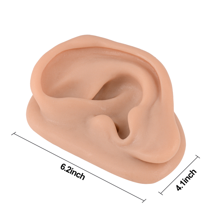 Ultrassist Silicone Acupuncture Ear Model, Auricular Training Enlarge