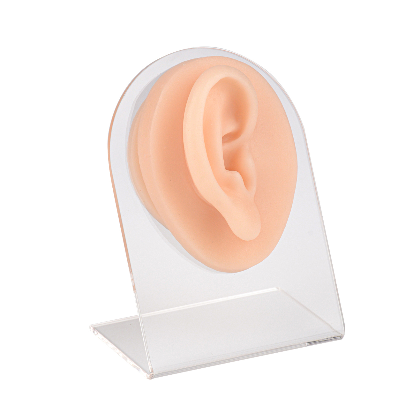 Ultrassist Ear Silicone Model for Practice Piercing