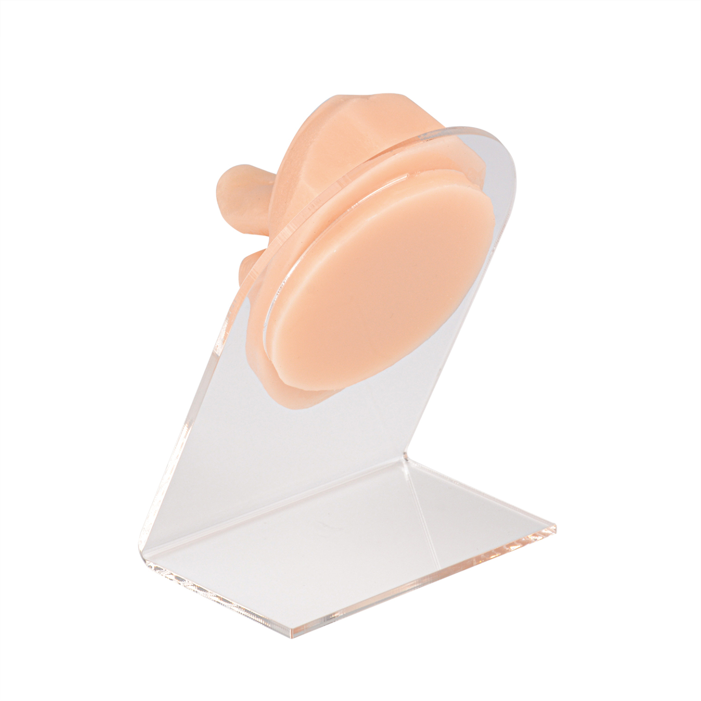 Ultrassist Silicone Tongue & Mouth Model for Piercing Practice
