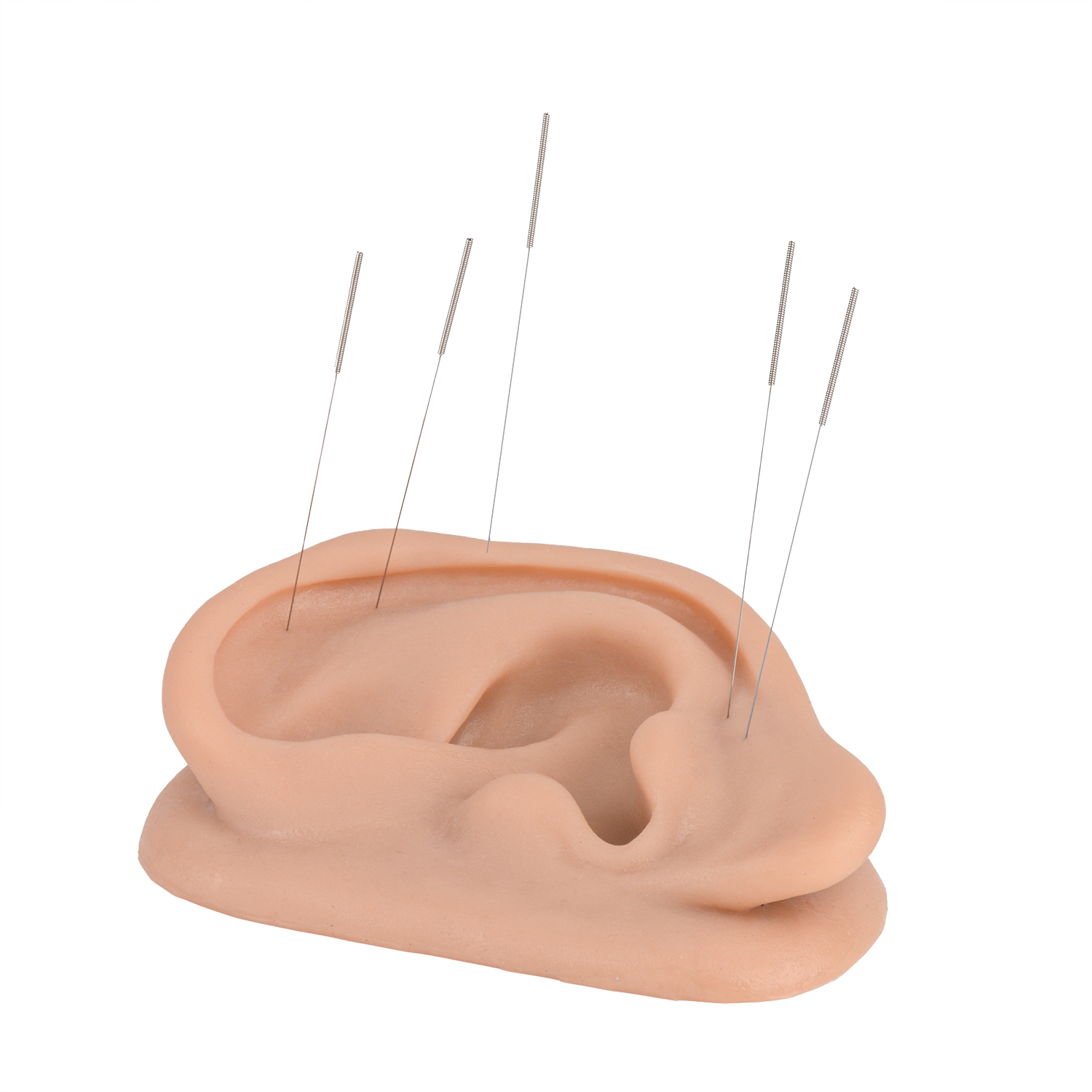 Ultrassist Silicone Acupuncture Ear Model, Auricular Training Enlarge