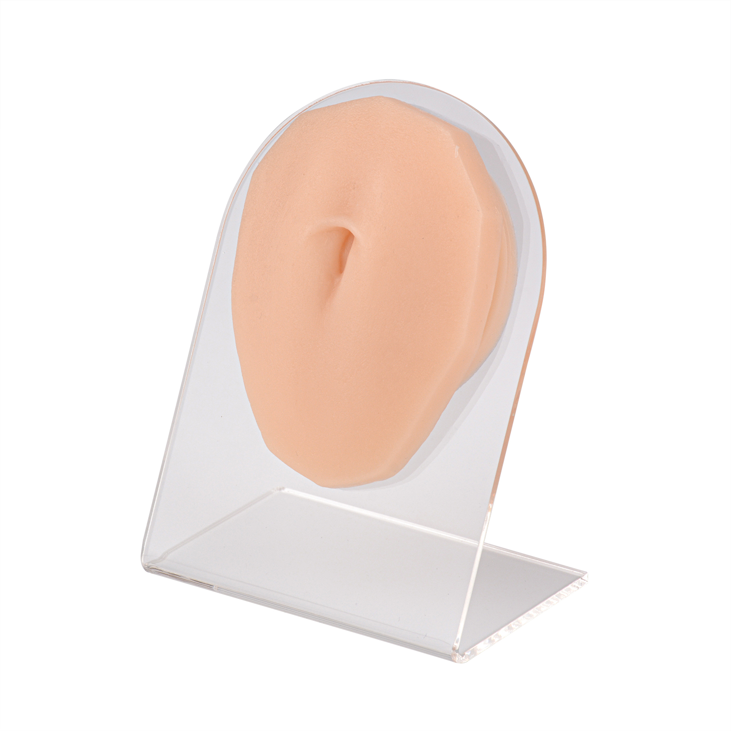 Ultrassist Navel Piercing Model with Acrylic Stand 