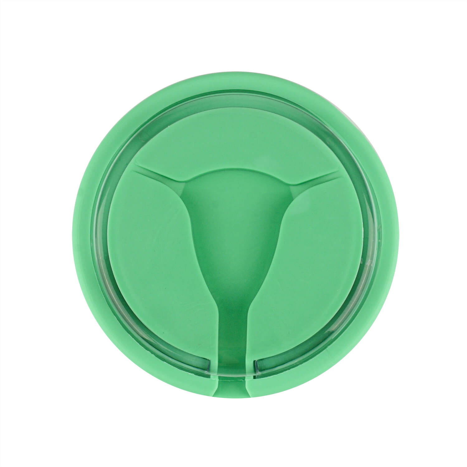 Ultrassist Pocket IUD Training Model for IUD Insertion & Removal
