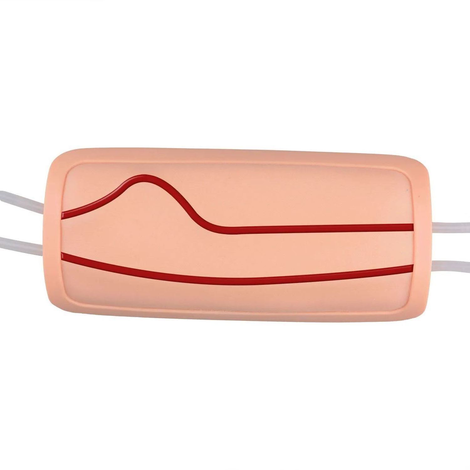 Wearable IV & Phlebotomy Practice Pad with Latex-free Veins