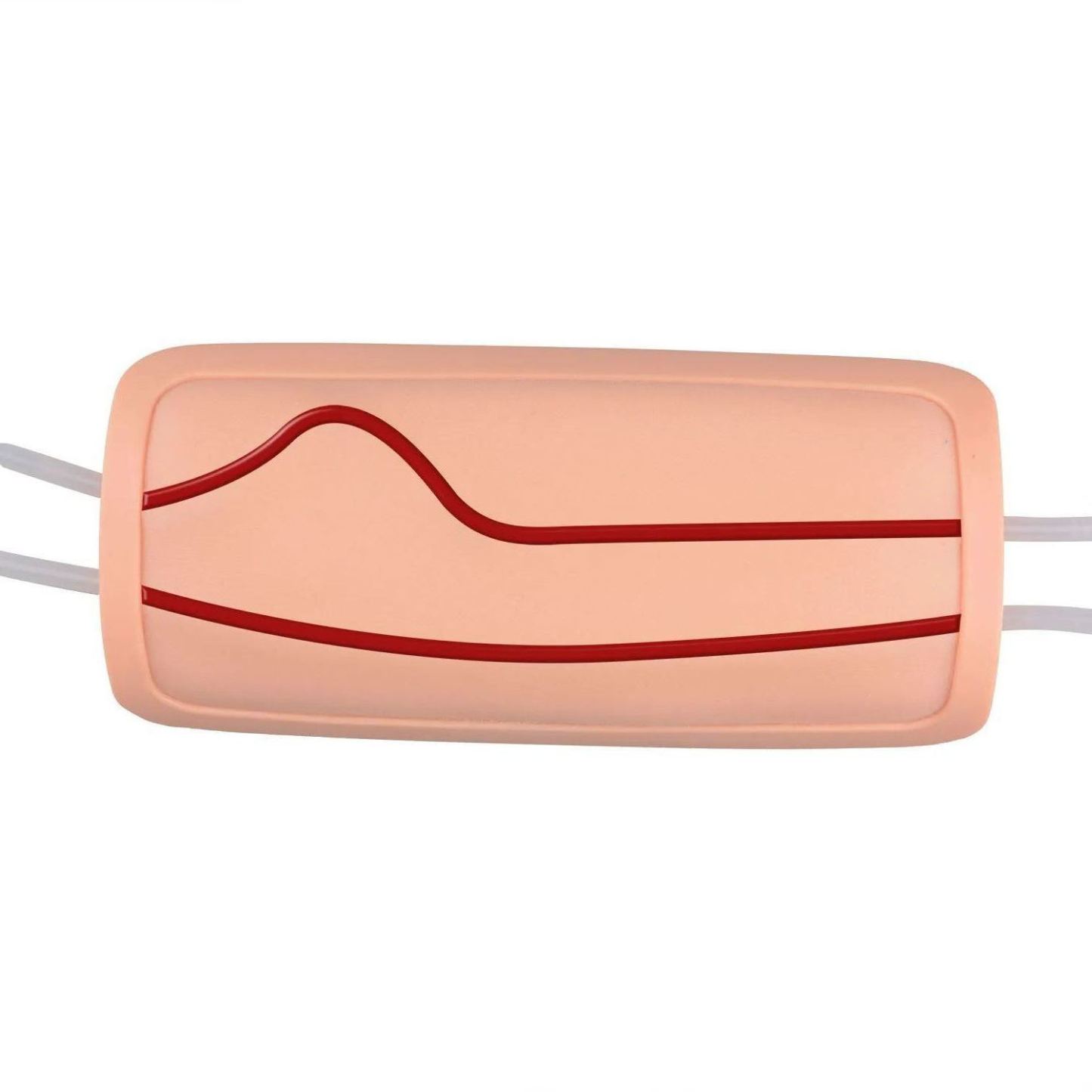 Wearable IV & Phlebotomy Practice Pad with Latex-free Veins