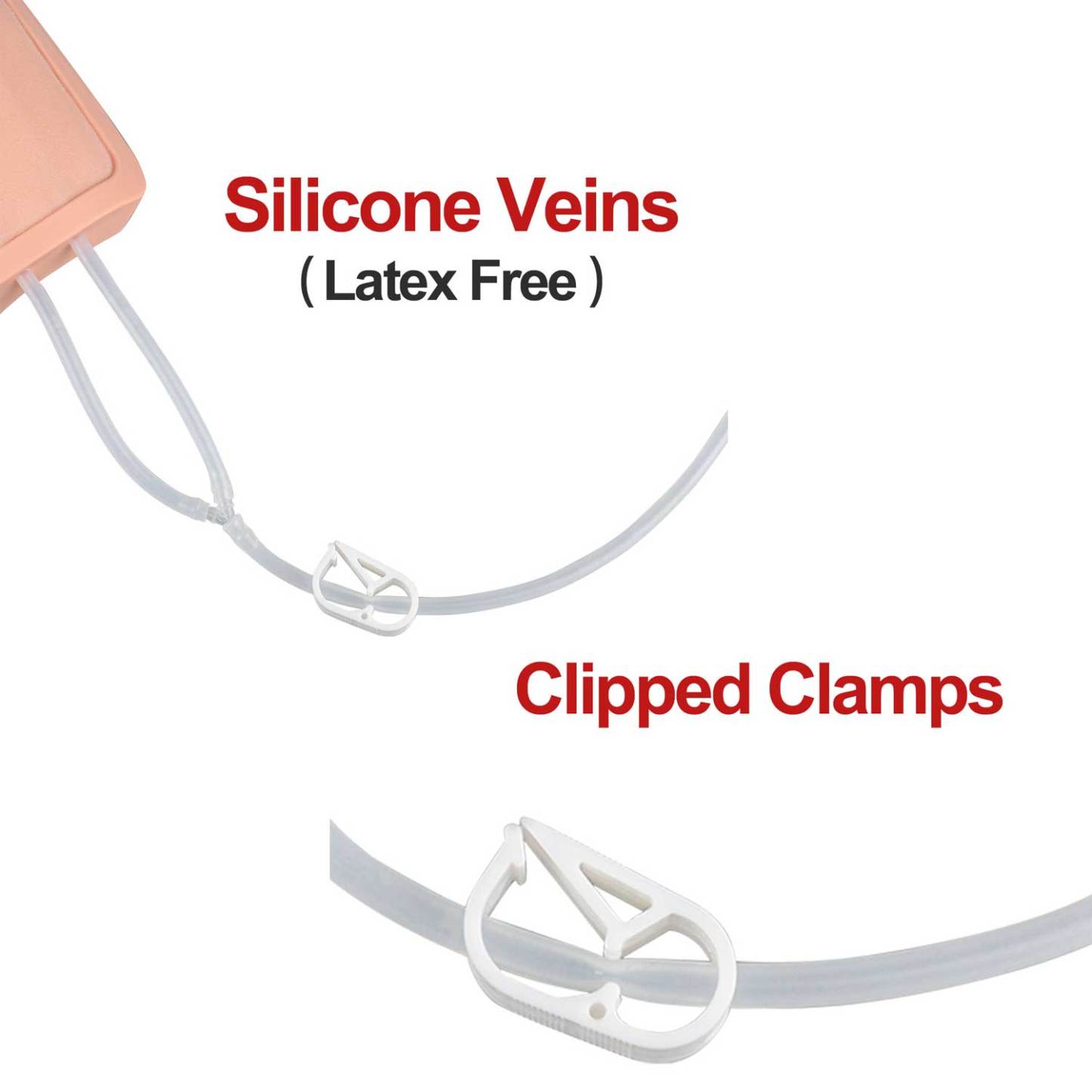Latex-free Phlebotomy Practice Pad