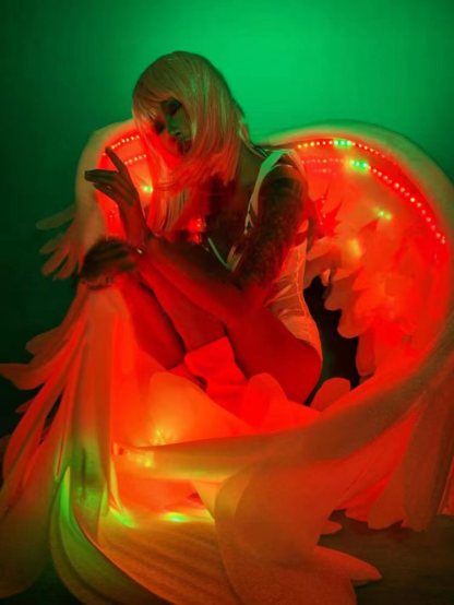 Customized LED luminous colorful wings-dressweeks
