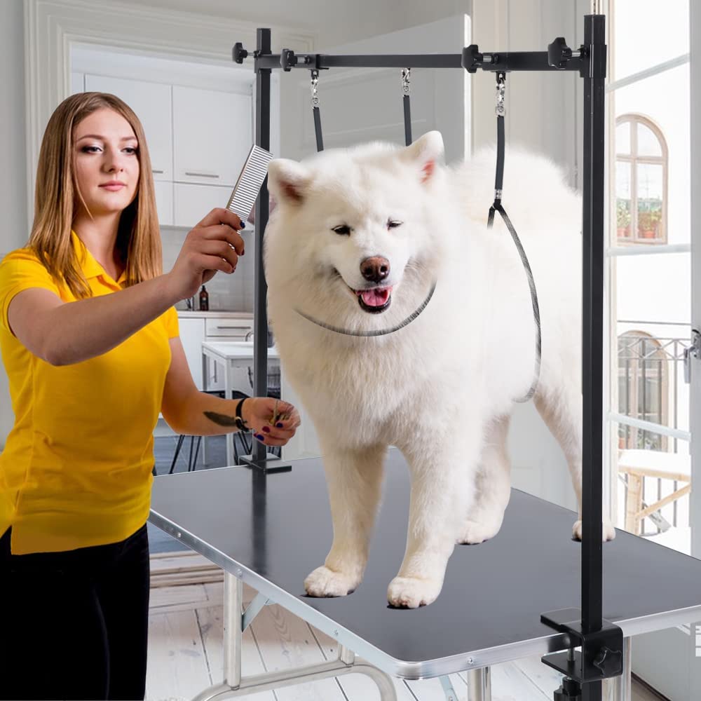 Pet Grooming Table