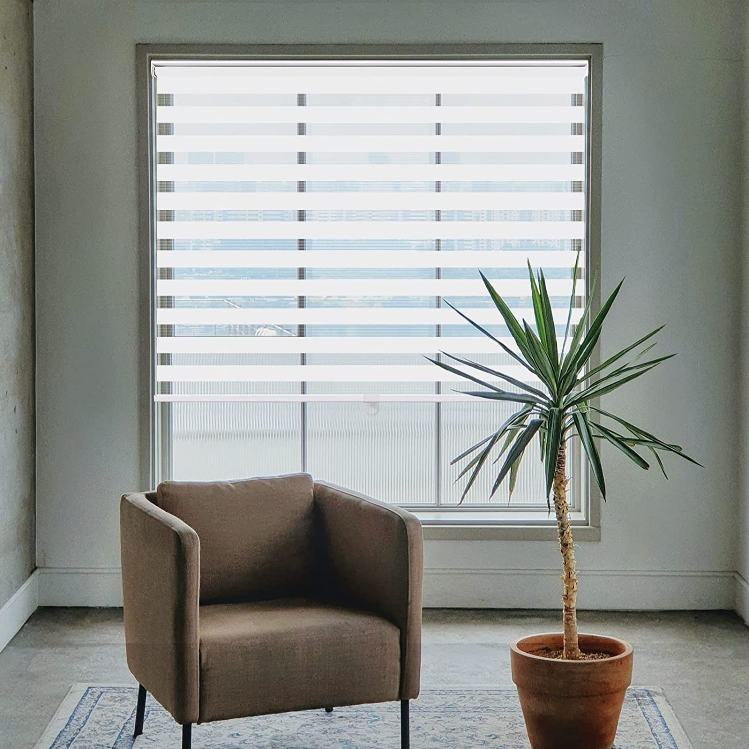 Cordless Zebra Blinds- Free Stop Roller Shades for Windows