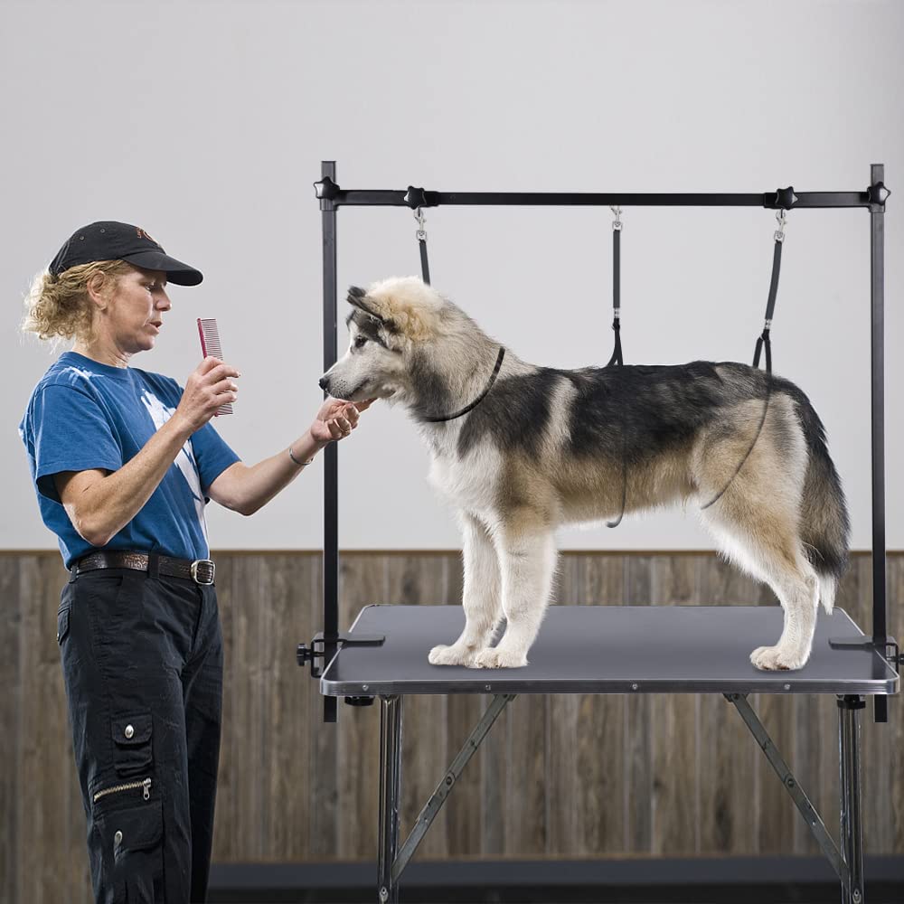 Pet Grooming Table