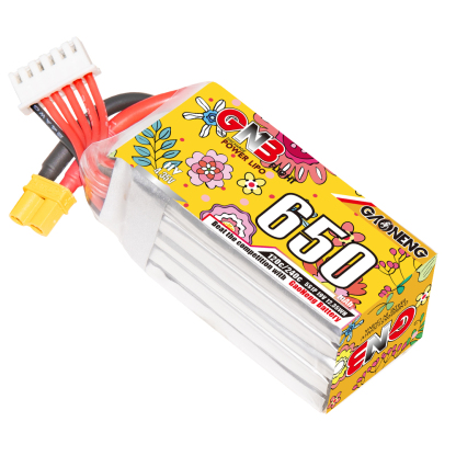 GAONENG GNB LiHV 5S 19V 650mAh 120C XT30 HV LiPo Battery