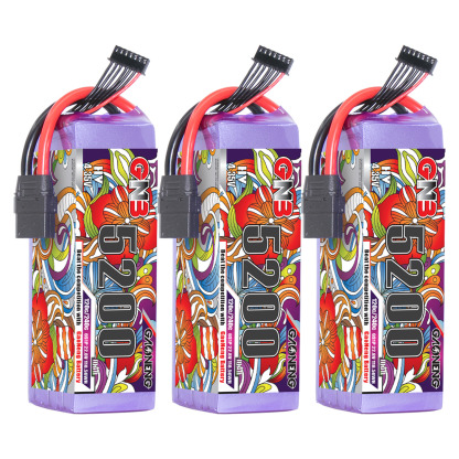 GAONENG GNB LiHV 6S 22.8V 5200mAh 120C LiPo Battery XT90