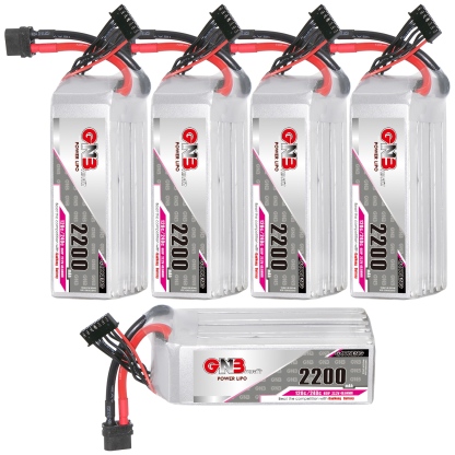 GAONENG GNB 6S 22.2V 2200mAh 120C XT60 LiPo Battery
