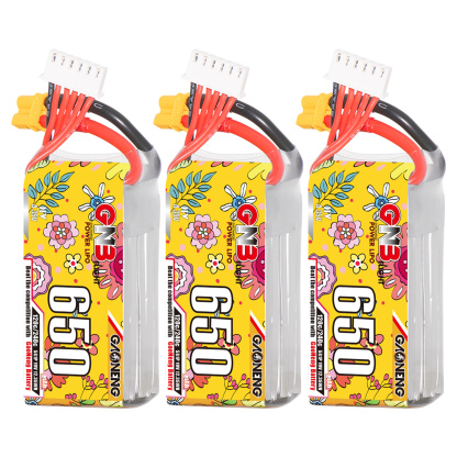 GAONENG GNB LiHV 5S 19V 650mAh 120C XT30 HV LiPo Battery
