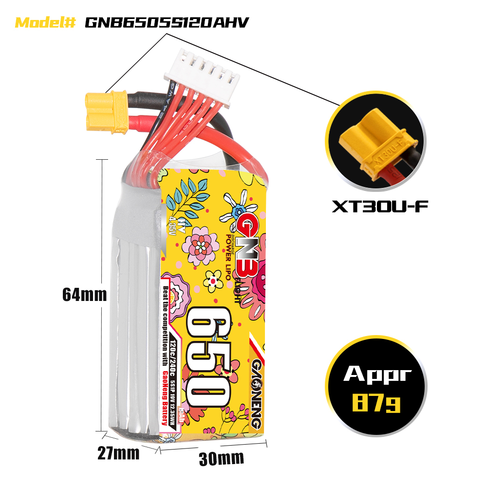 GAONENG GNB LiHV 5S 19V 650mAh 120C XT30 HV LiPo Battery