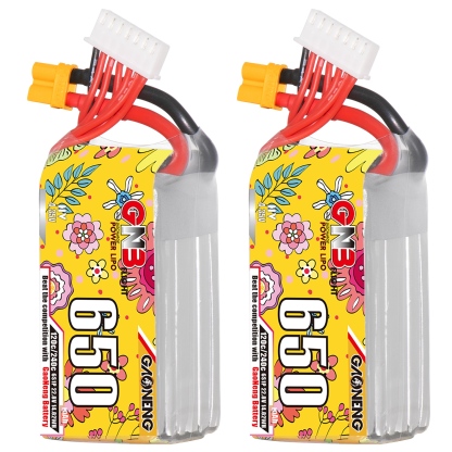 2PCS - GAONENG GNB LiHV 6S 22.8V 650mAh 120C XT30 LiPo Battery