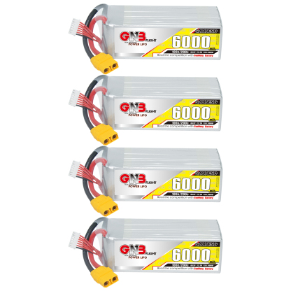 GAONENG GNB 6S 6S2P 22.2V 6000mAh 100C LiPo Battery XT90