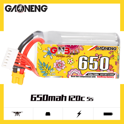 GAONENG GNB LiHV 5S 19V 650mAh 120C XT30 HV LiPo Battery