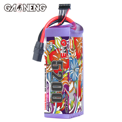 GAONENG GNB LiHV 6S 22.8V 5200mAh 120C LiPo Battery XT90