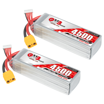 GAONENG GNB 6S 22.2V 4500mAh 110C LiPo Battery XT90