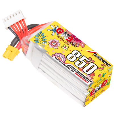 GAONENG GNB LiHV 5S 19V 850mAh 120C XT30 LiPo Battery